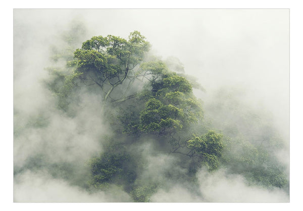 Fotomurale -  Foggy forest