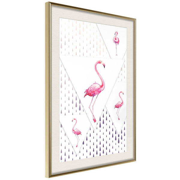 Flamingos and Triangles