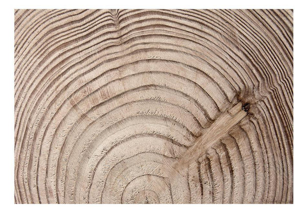 Carta da parati effetto legno - Cerchio d'albero