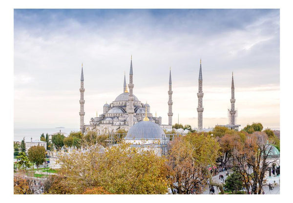 Carta da parati - Hagia Sophia - Istanbul