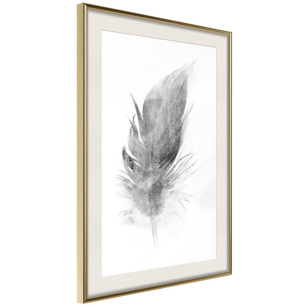 Lost Feather (Grey)