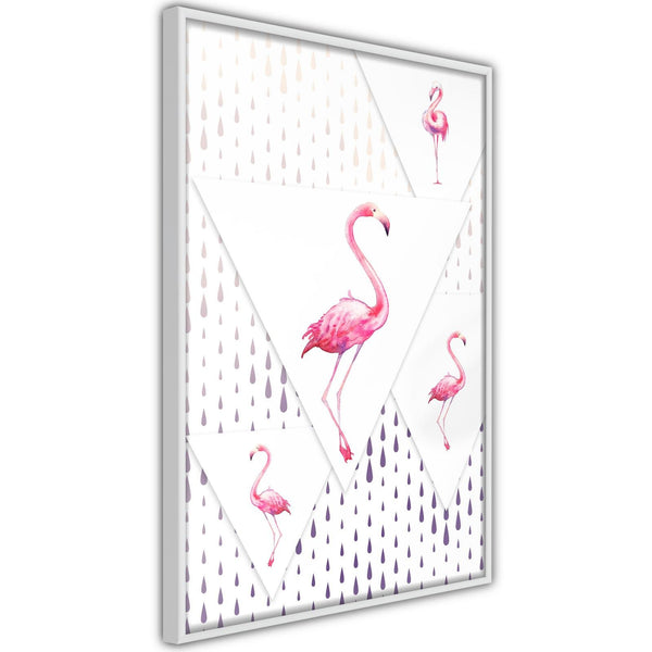 Flamingos and Triangles