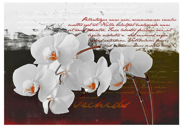 Carta da parati - Diario e orchidea