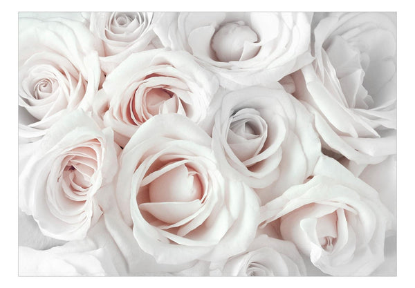 Fotomurale - Satin Rose (Pink)