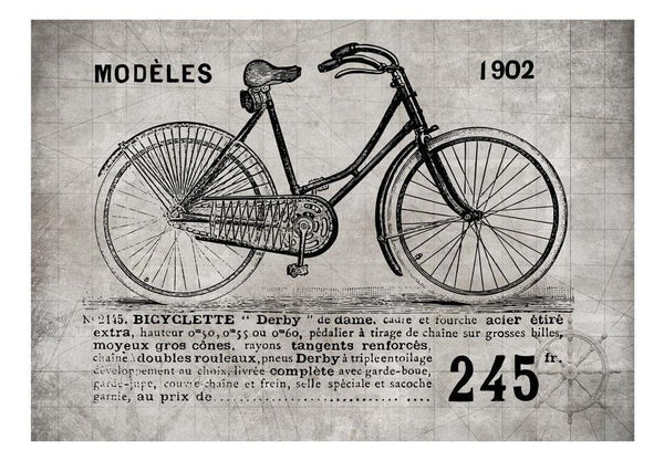 Carta da parati Vintage - Bicycle (Vintage)