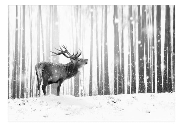 Fotomurale - Deer in the Snow (Black and White)