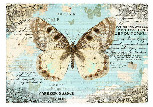 Carta da parati animali - Cartolina con farfalla