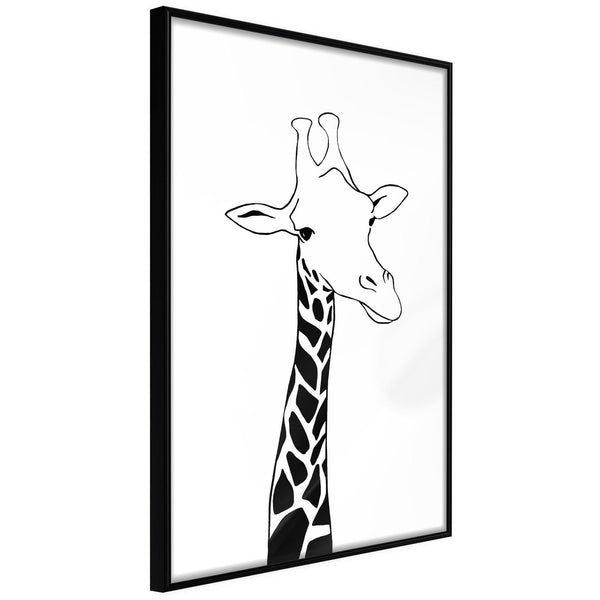 Black and White Giraffe