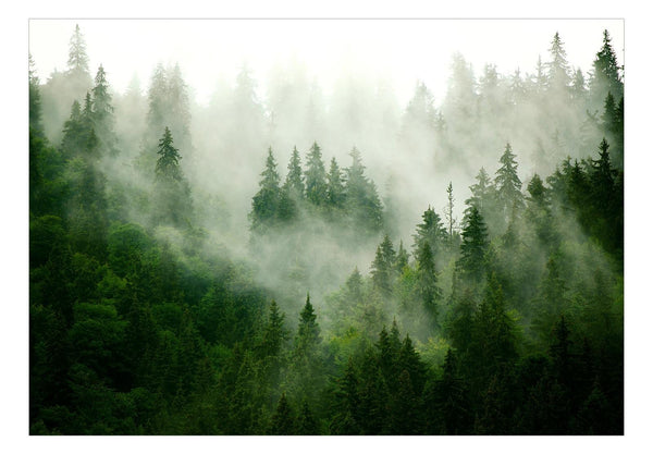 Fotomurale - Mountain Forest (Green)