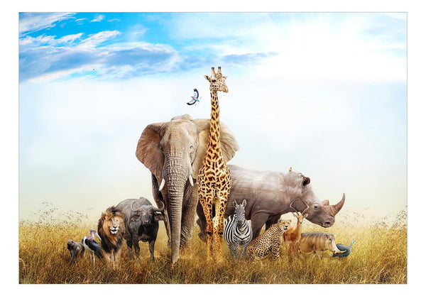 Fotomurale - Fauna of Africa
