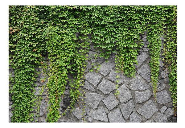 Carta da parati effetto mattoni - Muro verde