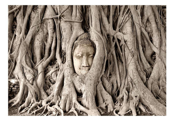 Fotomurale - Buddha's Tree