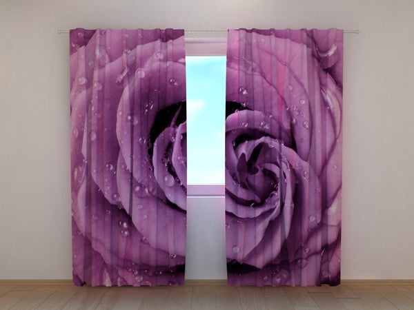 Foto Tende Rosa Eccentrica 2