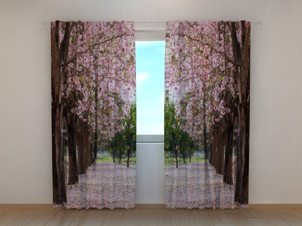 Foto Tende con Stampa Alberi in Fiore Lungo la Strada