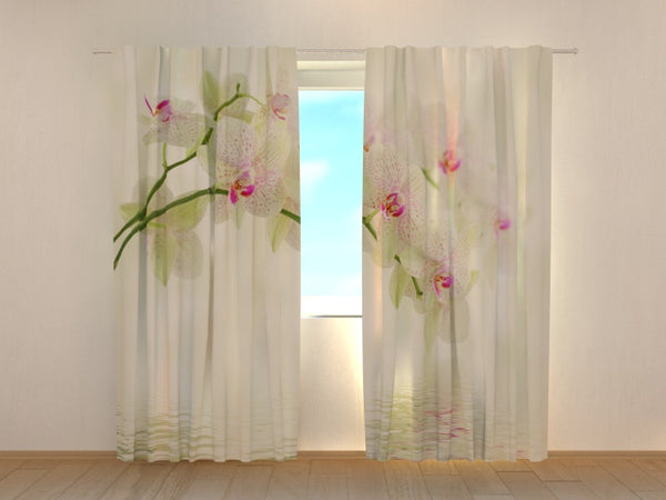 Foto Tende con Stampa Fiori Bianchi