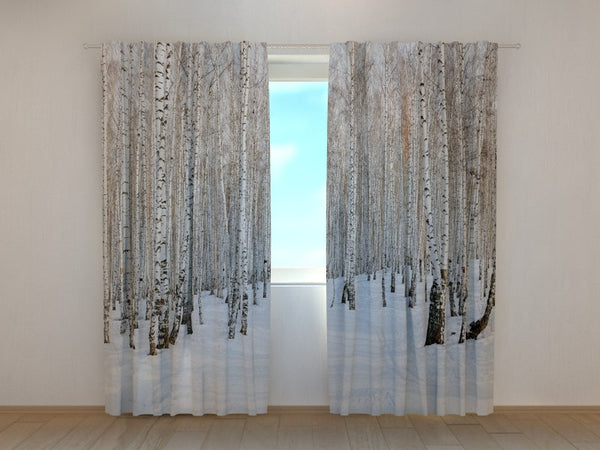 Foto Tende con Stampa Foresta di Betulle in Inverno