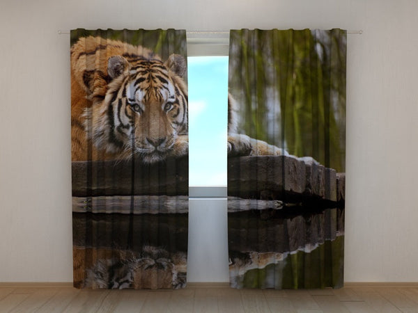 Foto Tende La Saggezza della Tigre