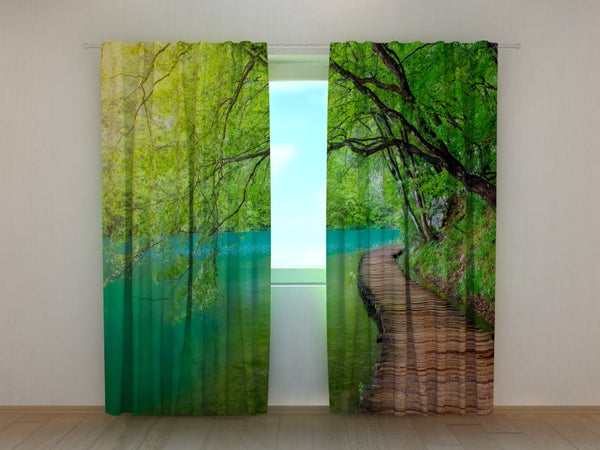 Foto Tende Sentiero in Legno nella Foresta