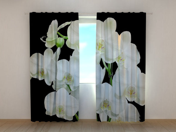 Foto Tende Orchidea Yin Yang