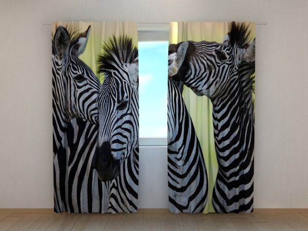 Foto Tende Zebre