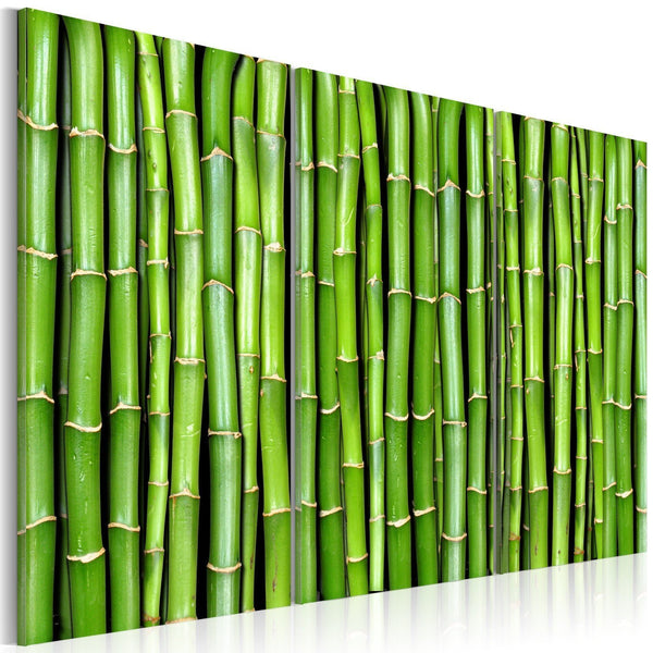Quadro su tela - Muro di bambu'