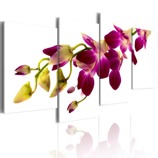 Quadro - Splendore dell'orchidea