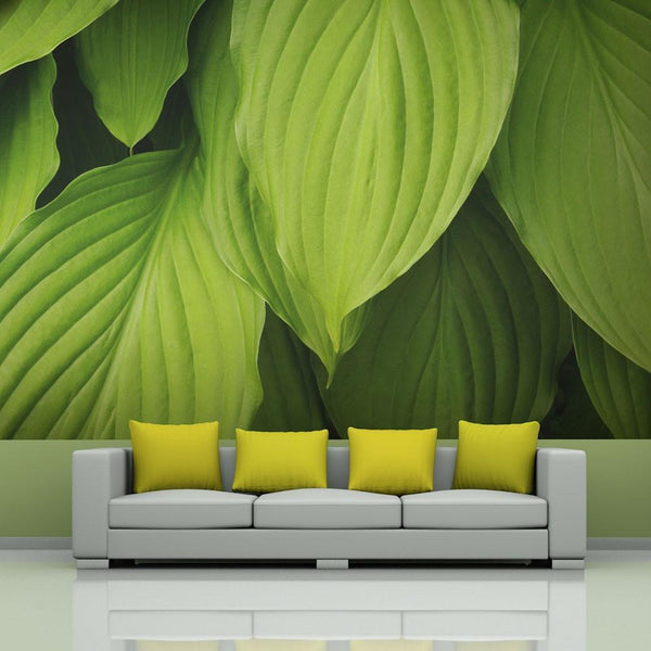 Carta da parati - Bright green leaves