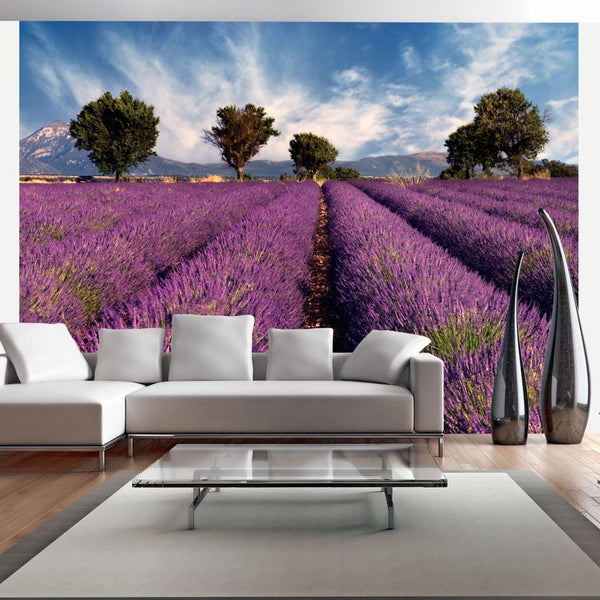 Carta da parati - Lavender field in Provence, France