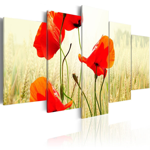 Runa Art Fiori Papavero Quadri Soggiorno Grande Blu Rosso Prato Floreale 120 x 80 cm 3 Pezzi Decorazione Murale 034431a Runa Art Fiori Papavero Quadri Soggiorno Grande Blu Rosso Prato Floreale 120 x 80 cm 3 Pezzi Decorazione Murale 034431a
