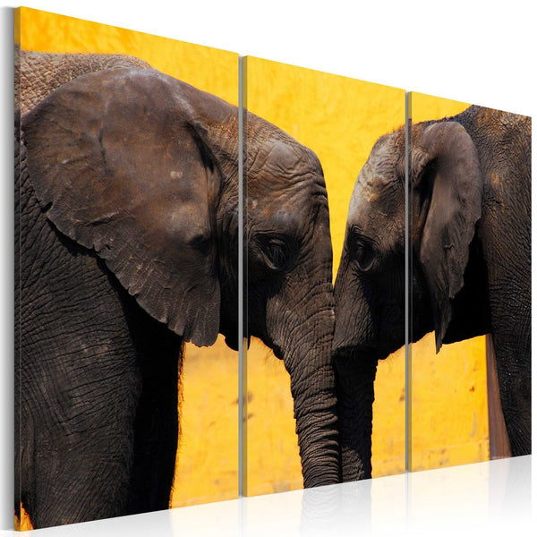 Quadro su tela - Coppia di elefanti che si bacia