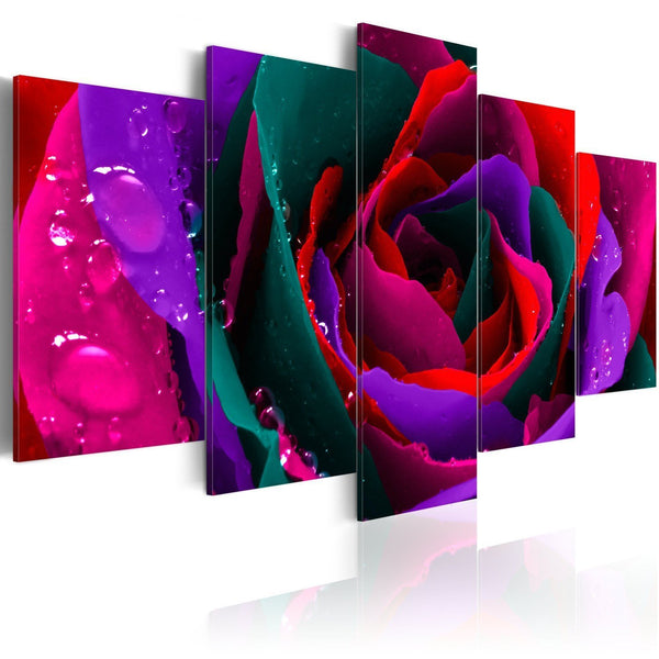 Quadro su tela - Multicoloured rose