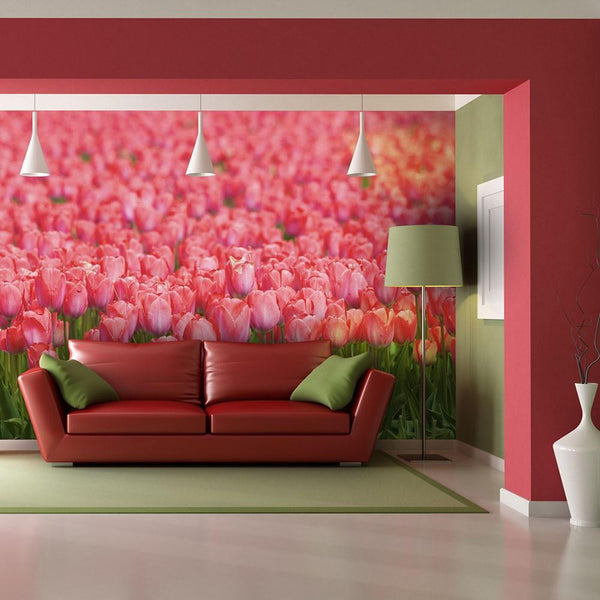 Carta da parati - Prato primaverile: tulipani rosa freschi