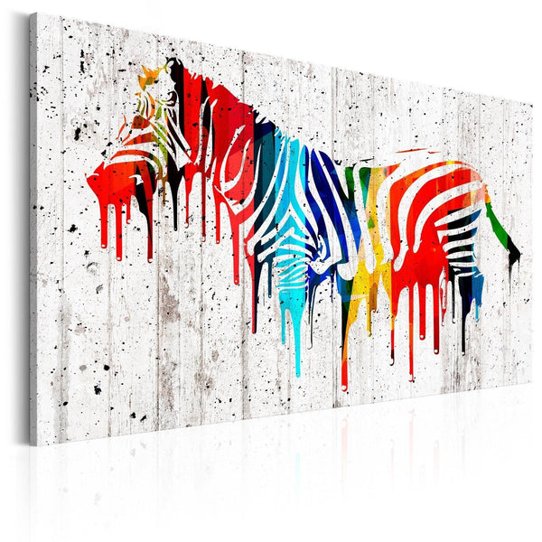 Quadro su tela - Colourful Zebra
