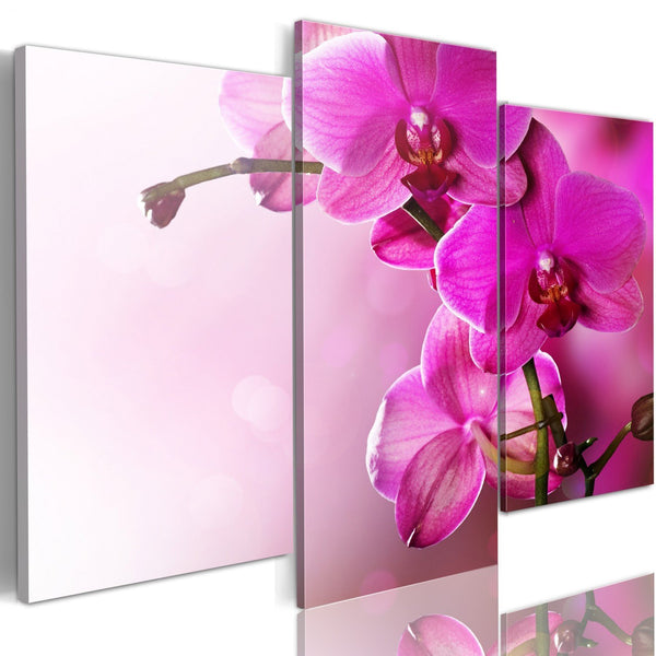 Quadro su tela - Orchidea color rosa scuro