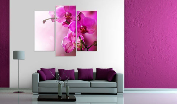 Quadro su tela - Orchidea color rosa scuro