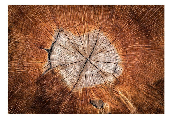 Carta da parati effetto legno - The Soul of a Tree