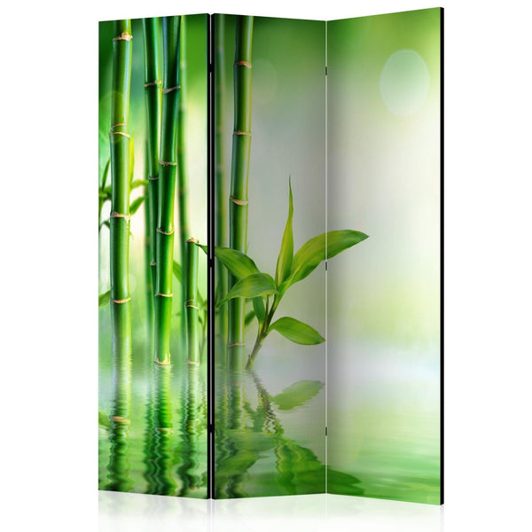 Separè per interni - Green Bamboo [Room Dividers]