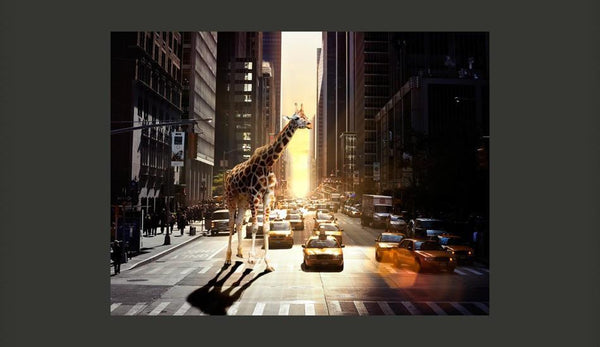 Carta da parati - Giraffa in una grande città