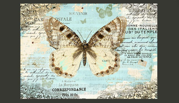 Carta da parati animali - Cartolina con farfalla