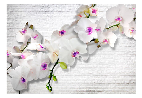 Carta da parati - Wall full of orchids II