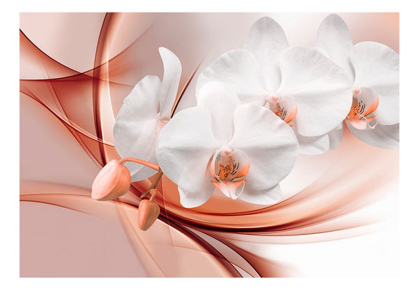 Carta da parati - Fiore di orchidea II