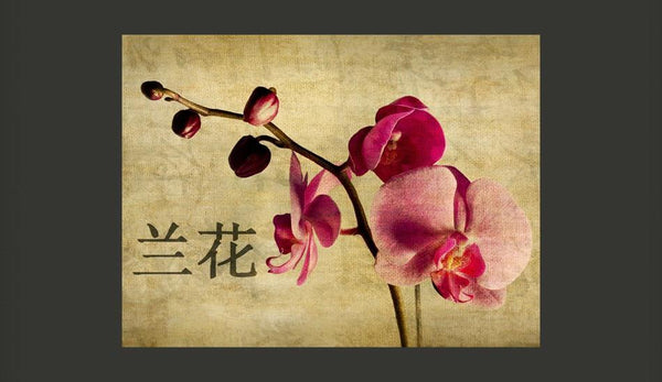 Carta da parati - Japanese orchid