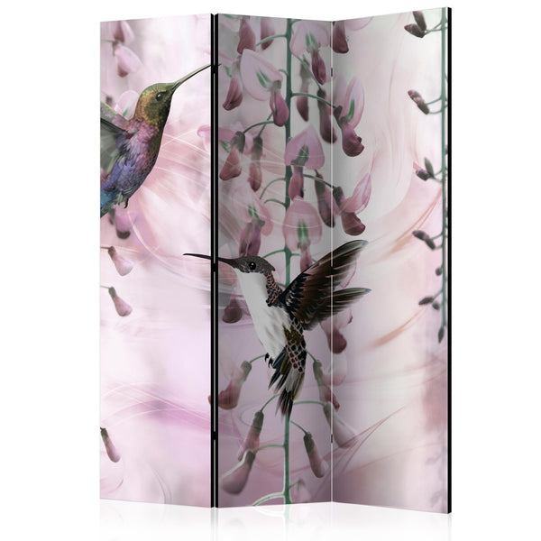 Separè per interni - Flying Hummingbirds (Pink) [Room Dividers]