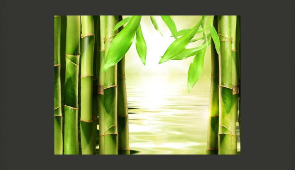 Carta da parati - Bambù e zen