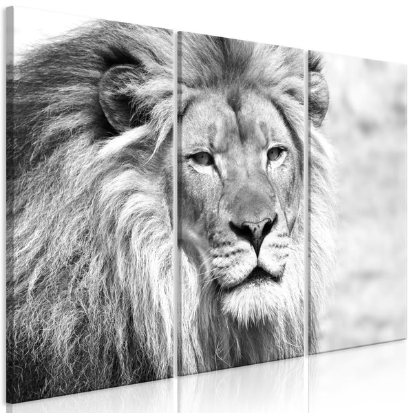 Quadro - The King of Beasts (3 Parts) Black and White
