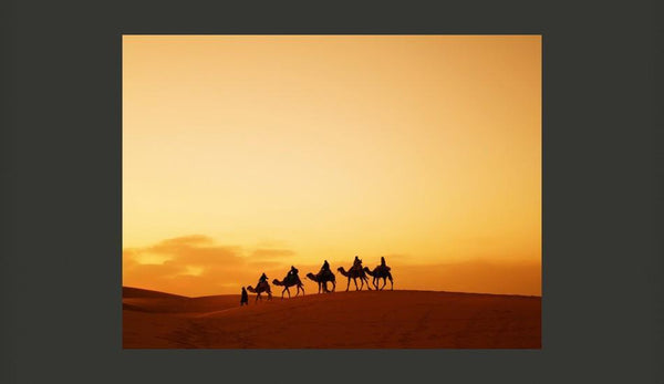 Carta da parati - Caravana nel deserto del Sahara