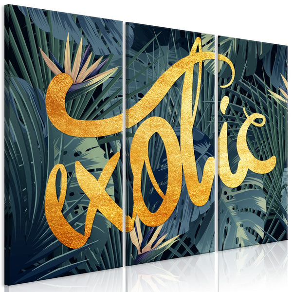 Quadro - Exotic (3 Parts)