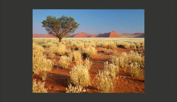 Carta da parati - Paesaggio deserto, Namibia