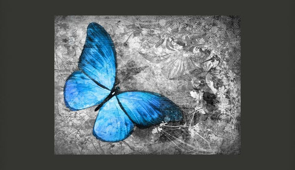 Carta da parati animali - Blue butterfly