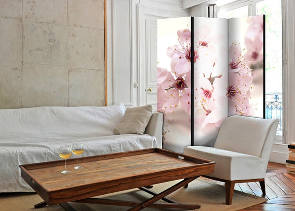 Separè per interni - Cherry Blossom [Room Dividers]
